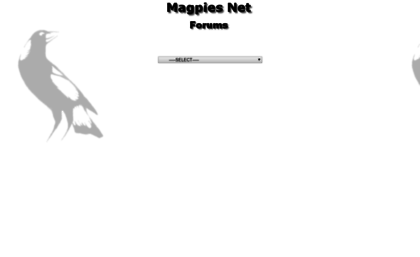 forums.magpies.net
