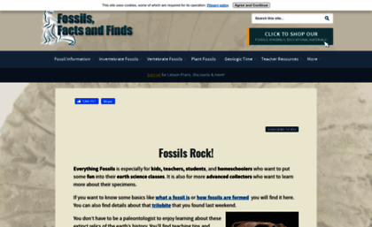fossils-facts-and-finds.com