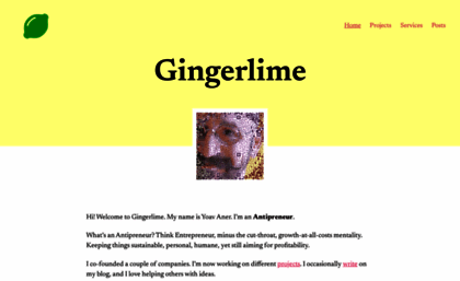 gingerlime.com