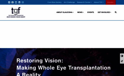 glaucomafoundation.org