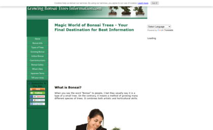 growing-bonsai-trees-information.com