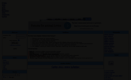 gruphepsi1.1forum.biz