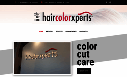 haircolorxpertsraleigh.com