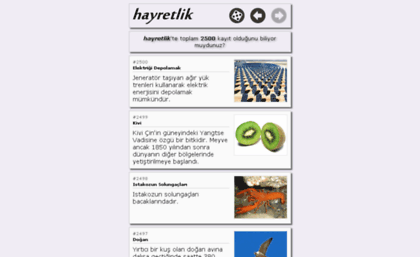 hayretlik.com