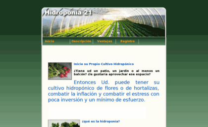 hidroponia21.net