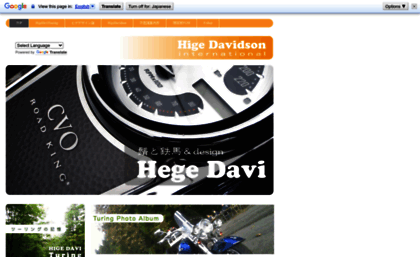 hige-davidson.com