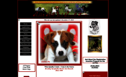 hobbithilljackrussells.homestead.com