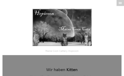 hopicoon.com