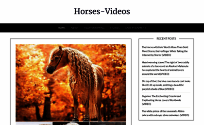 horses-videos.com