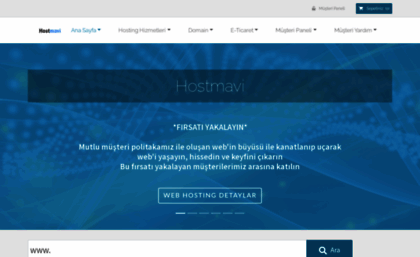 hostmavi.com