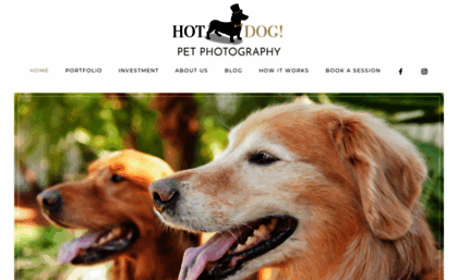 hotdogpetphotography.com
