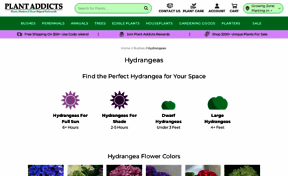 hydrangeashydrangeas.com