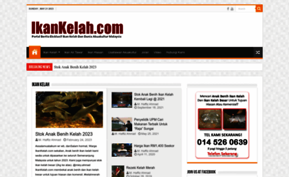 ikankelah.com