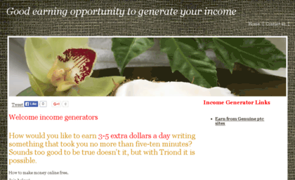 incomegenerators.yolasite.com
