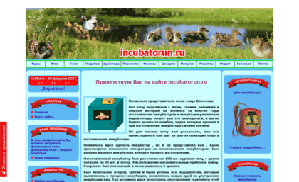 incubatorun.ru