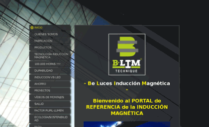 inductionmagnetic.com