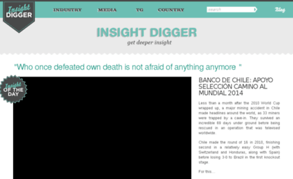 insightdigger.com