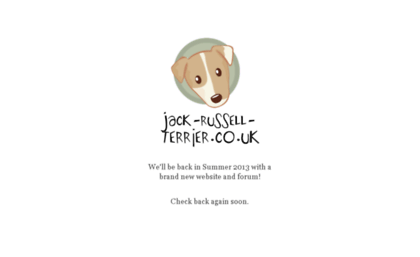jack-russell-terrier.co.uk