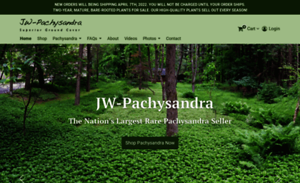 jw-pachysandra.com