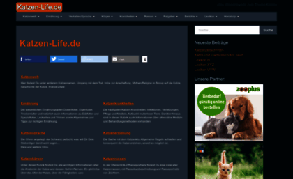 katzen-life.de