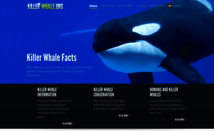 killer-whale.org