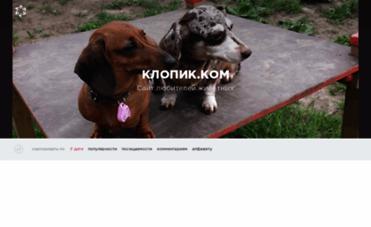 klopik.com