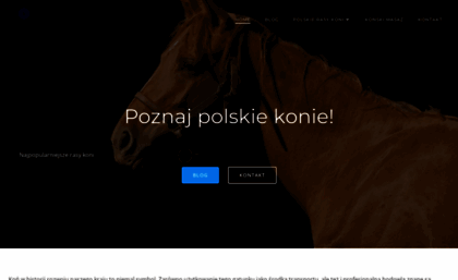 konie-pegasus.pl