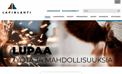 lapinlahti.fi