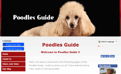 le-poodles-guide.com