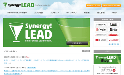 lead.crmstyle.com