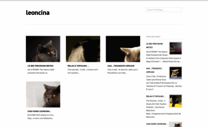 leoncina-cat.blogspot.com