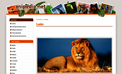 leones.anipedia.net