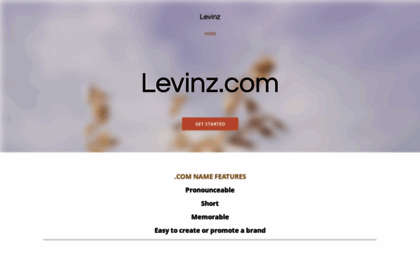 levinz.com