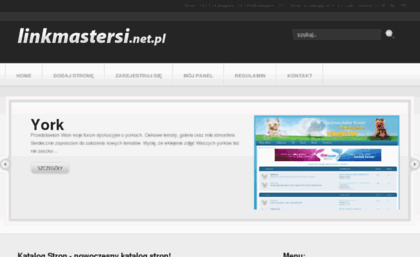 linkmastersi.net.pl