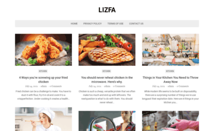 lizfa.com
