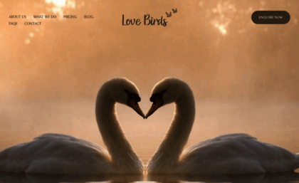 lovebirds.co.nz