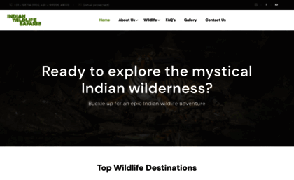 mail.indianwildlifesafaris.com