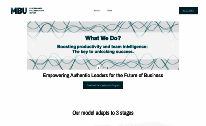 mbuintelligence.com