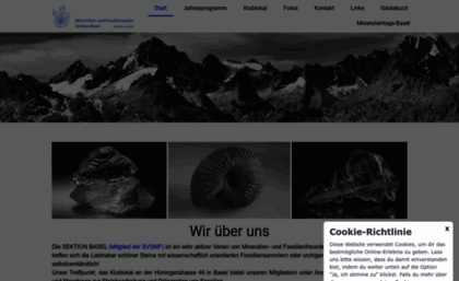 mineralien-basel.ch