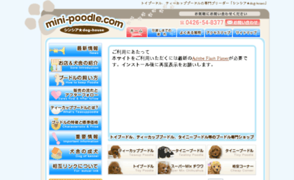mini-poodle.com