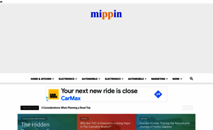 mippin.com