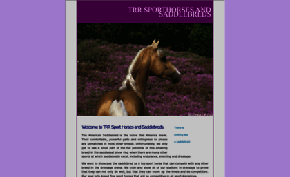 modernsporthorses.com