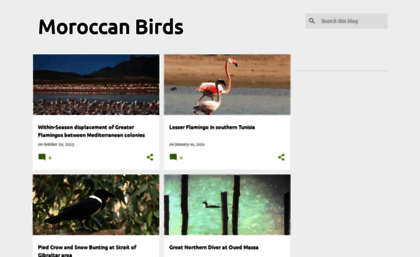 moroccanbirds.blogspot.com
