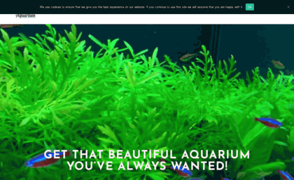 mraquarium.co.uk