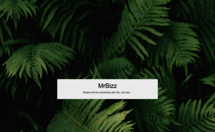mrbizz.com