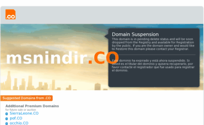 msnindir.co