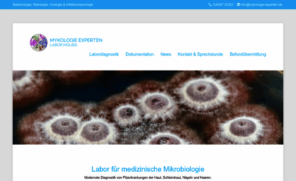 mykologie-experten.de