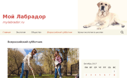 mylabrador.ru