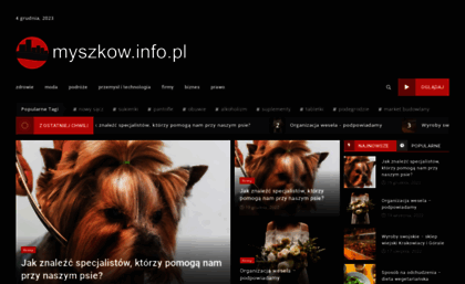 myszkow.info.pl