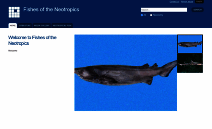neotropicalfishes.myspecies.info
